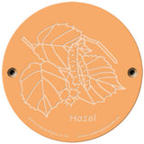 Rainbow Rubbing 'Hazel'