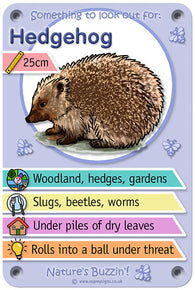 Nature's Buzzin' 'Hedgehog'