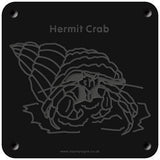 'Hermit crab' rubbing plaque