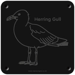 'Herring gull' rubbing plaque