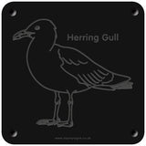 'Herring gull' rubbing plaque