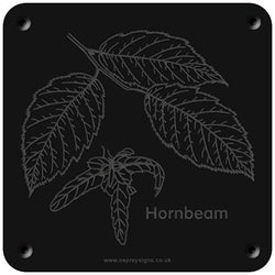 'Hornbeam' rubbing plaque