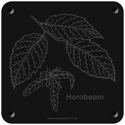 'Hornbeam' rubbing plaque