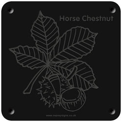 'Horse chestnut' rubbing plaque