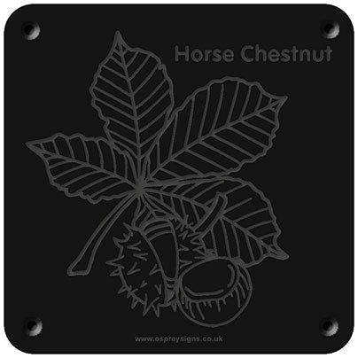 'Horse chestnut' rubbing plaque