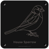 'House sparrow' rubbing plaque