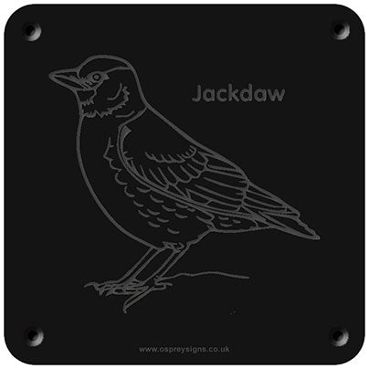 'Jackdaw' rubbing plaque