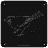 'Jay' rubbing plaque
