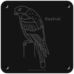 'Kestrel' rubbing plaque