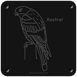 'Kestrel' rubbing plaque