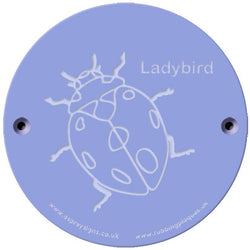 Rainbow Rubbing 'Ladybird'