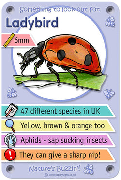 Nature's Buzzin' 'Ladybird'