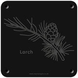 'Larch' rubbing plaque