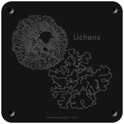 'Lichens' rubbing plaque