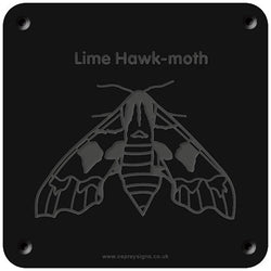 'Lime hawk moth' rubbing plaque