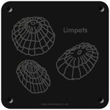 'Limpets' rubbing plaque