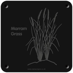 'Marram grass' rubbing plaque