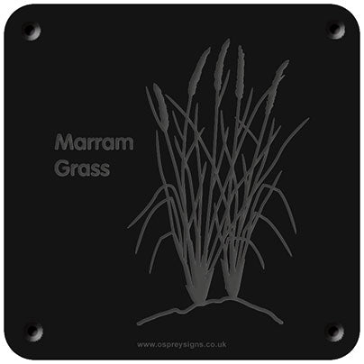 'Marram grass' rubbing plaque