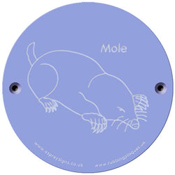 Rainbow Rubbing 'Mole'