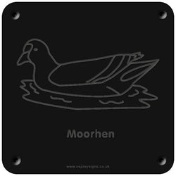 'Moorhen' rubbing plaque
