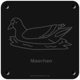 'Moorhen' rubbing plaque