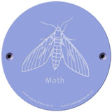 Rainbow Rubbing 'Moth'