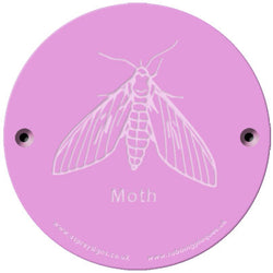 Rainbow Rubbing 'Moth'