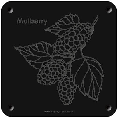 'Mulberry' rubbing plaque