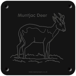 'Muntjac deer' rubbing plaque