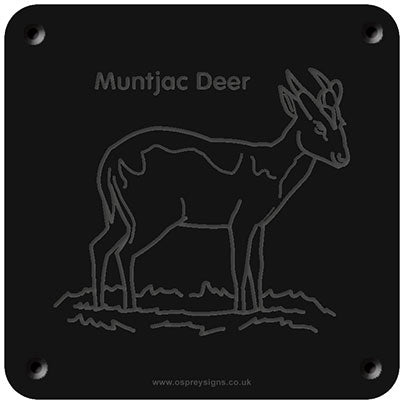 'Muntjac deer' rubbing plaque