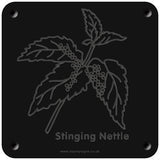 'Stinging nettle' rubbing plaque