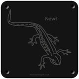 'Newt' rubbing plaque