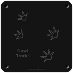 'Newt tracks' rubbing plaque