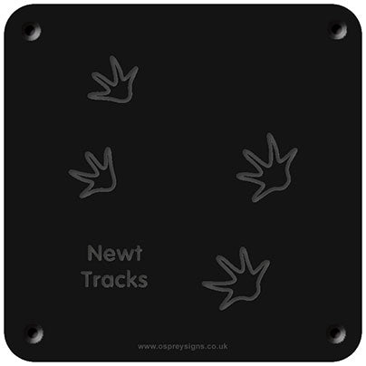 'Newt tracks' rubbing plaque