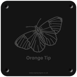 'Orange tip' rubbing plaque