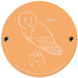 Rainbow Rubbing 'Owl'