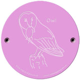 Rainbow Rubbing 'Owl'