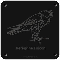 'Peregrine falcon' rubbing plaque