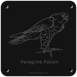 'Peregrine falcon' rubbing plaque