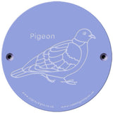 Rainbow Rubbing 'Pigeon'