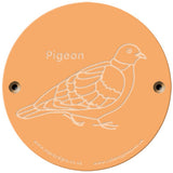 Rainbow Rubbing 'Pigeon'