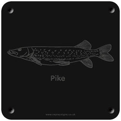 'Pike' rubbing plaque