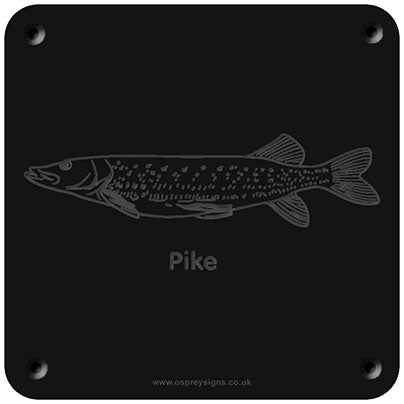 'Pike' rubbing plaque