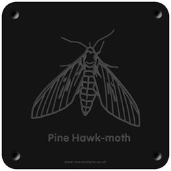 'Pine hawk moth' rubbing plaque