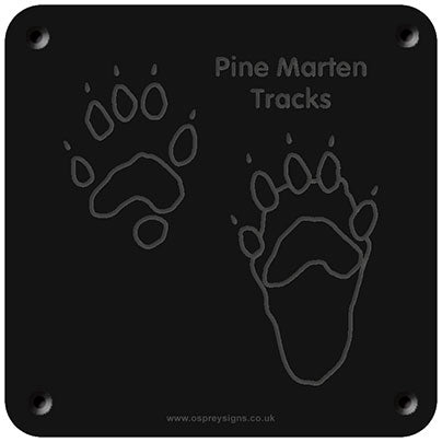 'Pine marten tracks' rubbing plaque