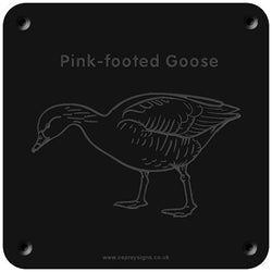 'Pink-footed goose' rubbing plaque