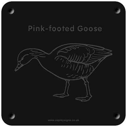 'Pink-footed goose' rubbing plaque