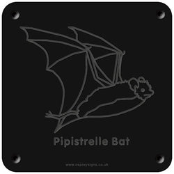 'Pipistrelle bat' rubbing plaque