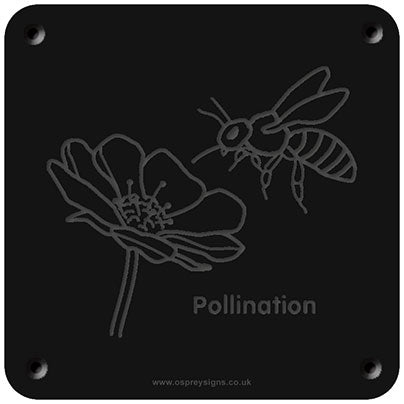 'Pollination' rubbing plaque