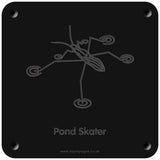 'Pondskater' rubbing plaque
